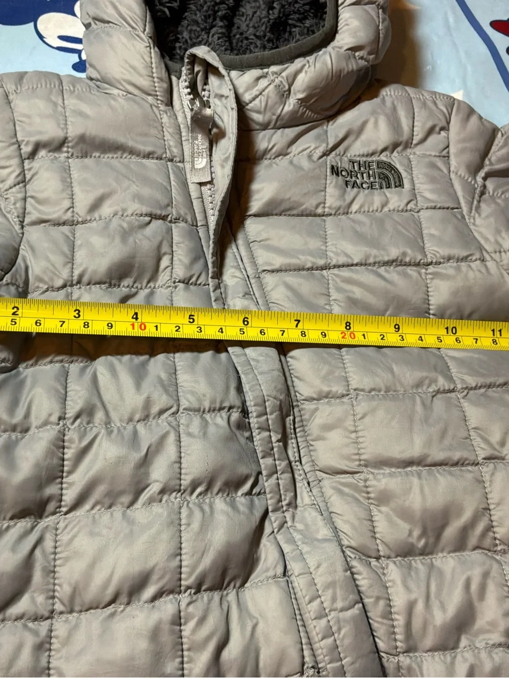The North Face north face